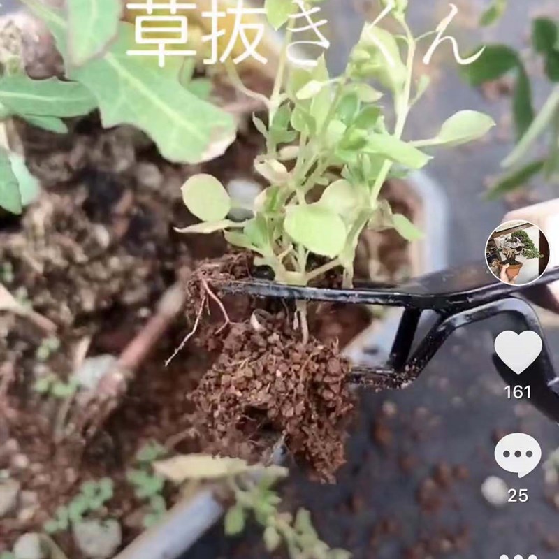 园艺除草工具拔草器养花种花家用神器小铲子野菜1796农用起苗器