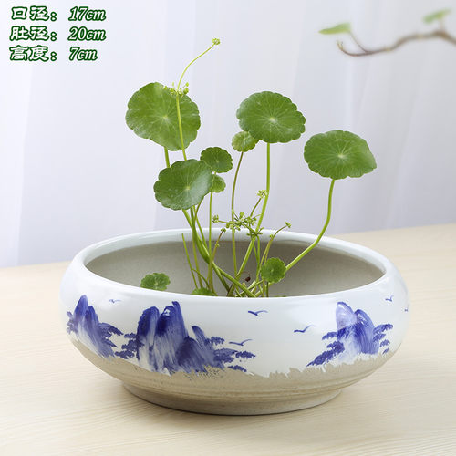 无孔水培容器水仙花盆陶瓷手绘铜钱草碗莲绿萝睡莲多肉花盆特大号
