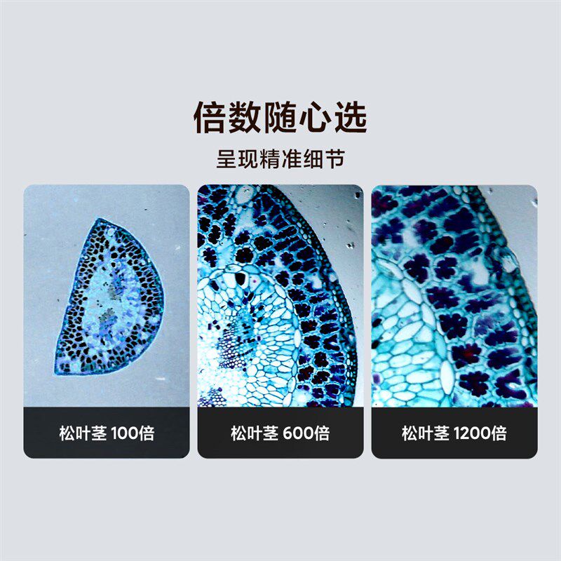 当当狸智能显微镜专业版30000倍 初中生专用儿童科学显微镜生物电