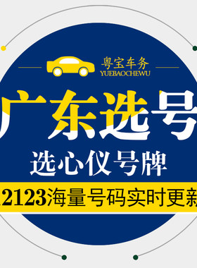 广东阳江韶关清远云浮新能源汽车辆12123自编自选车牌照选号