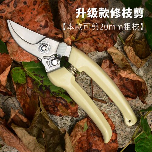 不锈钢修枝剪省力修剪园艺工具园林果树剪花卉专用剪刀盆景多功能