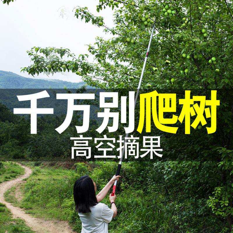 砂糖橘摘果剪高空摘果器伸缩杆剪柿子摘核桃修树神器树枝锯锋利片