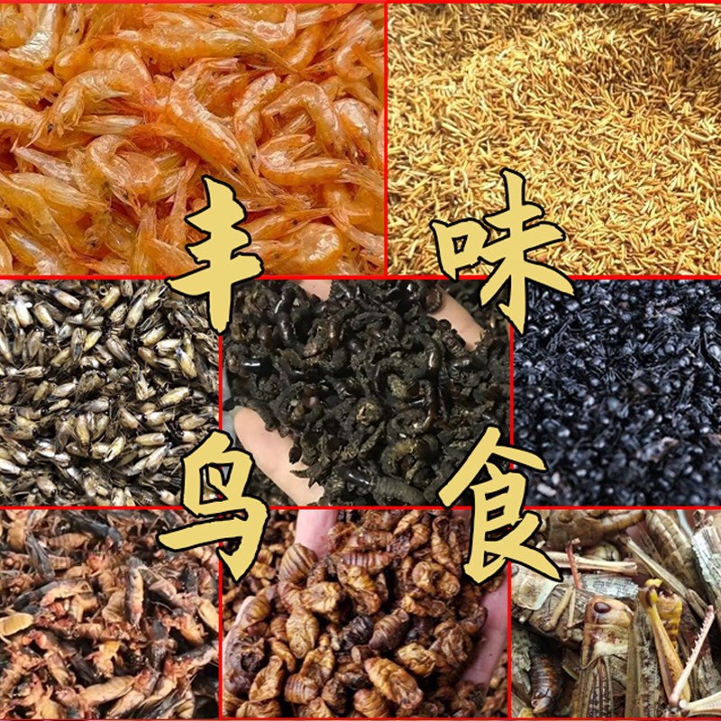 绣眼鸟食饲料提性大唱壮膘不掉毛小鸟颗粒抗应激快速补钙营养粉料图片
