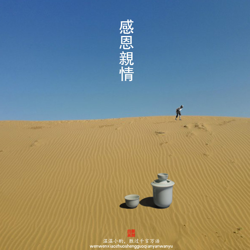 温酒壶陶瓷温酒器中式黄酒烫酒壶家用酒具套件景德镇酒壶白青酒杯