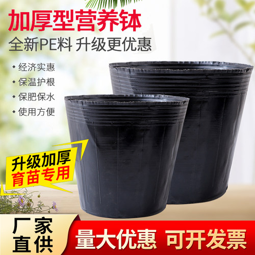 育苗营养杯育苗袋大号一次性花盆黑色种植塑料育苗杯育苗盆营养钵