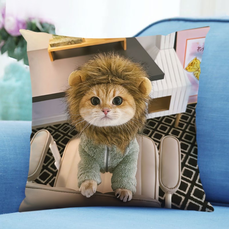 猫咪抱枕定制来图定做宠物可爱小猫狗狗公仔玩偶玩具沙发靠垫枕头图片
