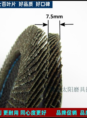 德尔士百叶片4平面砂布轮耐用网盖煅烧100*16 60目80目抛光小盖