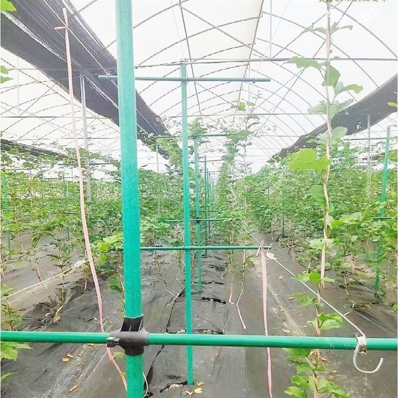户外庭院葡萄架组装支架百香果苦瓜攀爬架铁艺棚架阳台植物爬藤架