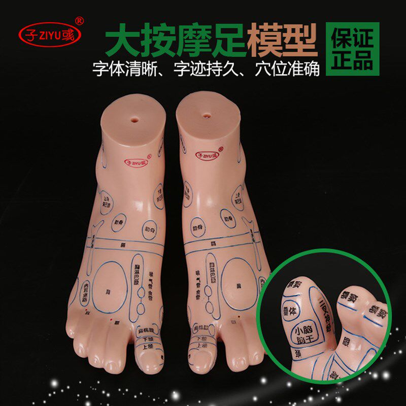 足底脚部穴位经络反射区精准穴位图脚丫立体模型足疗按摩