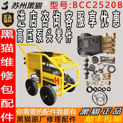 苏州黑猫BCC2520B泵头维修包