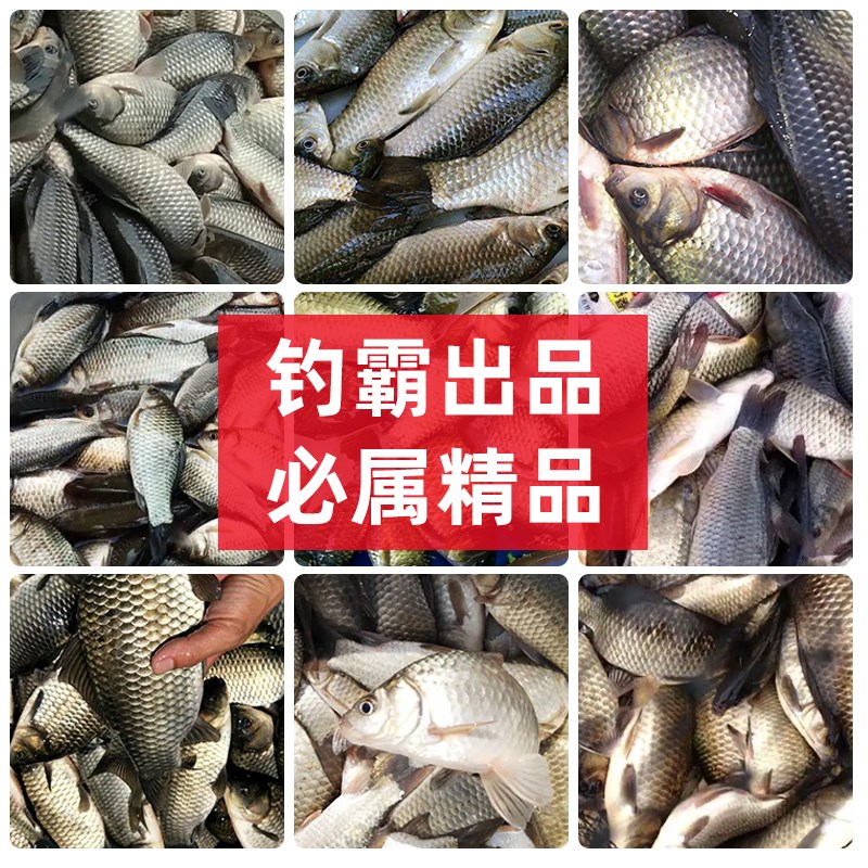 哈密瓜味香精钓鱼小药鲫鲤草鳊青高温不开口饵料添加剂促食开口剂