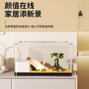 寄居蟹饲养箱小型螃蟹相守蟹专用箱过滤龟缸爬台生态缸养乌龟家用