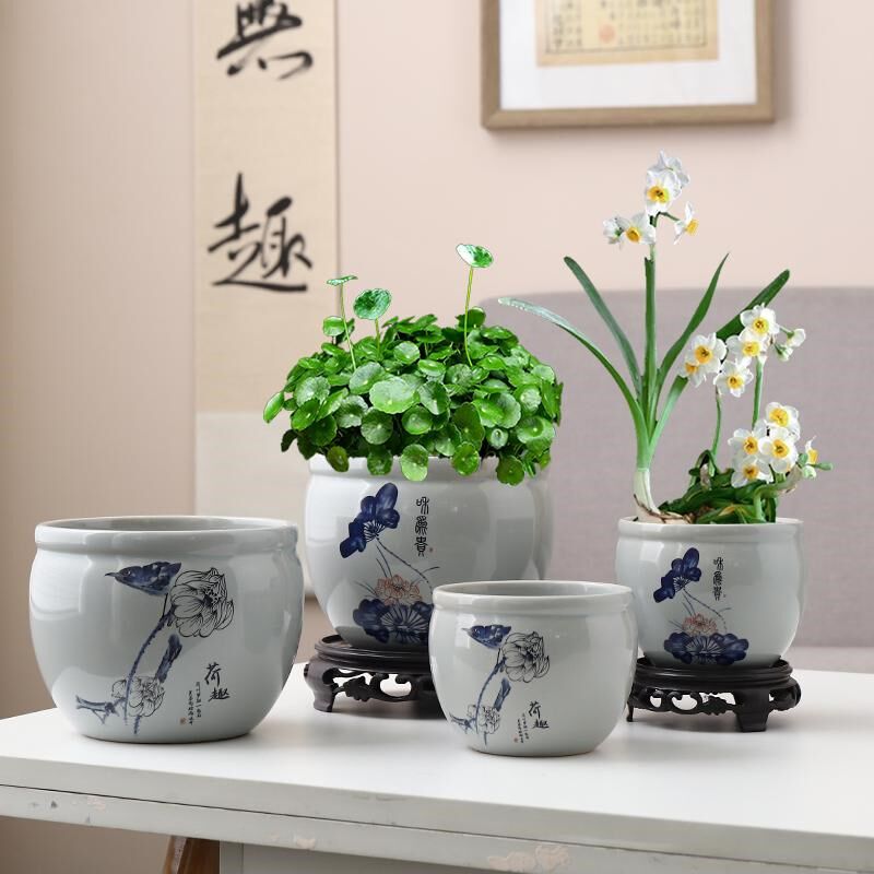 水仙花盆陶瓷无孔水培器皿绿萝铜钱草专用碗莲睡莲青花盆子盆景盆
