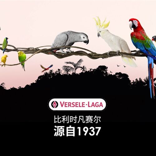 包邮凡塞尔宠物鸟鹦鹉沐浴盐洗澡除菌臭清洁沐浴除羽粉靓羽毛分装