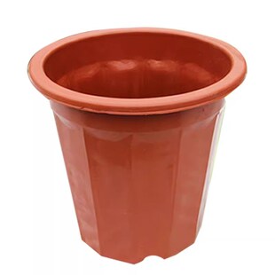 塑料花盆绿植育苗盆种植盆家用阳台多肉盆大小号控根透气排水花盆