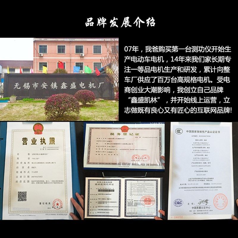 电动车16寸满盘10寸电摩电机1000W1200W碟刹60V72V轮毂大功率升级