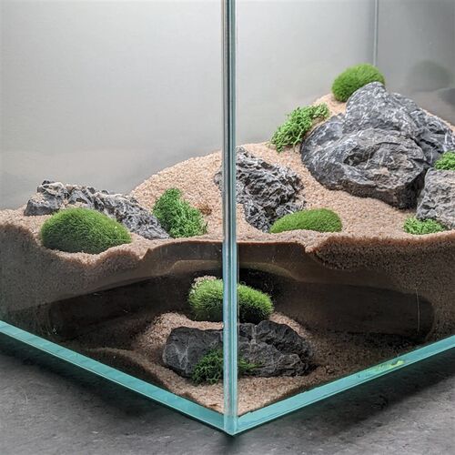 鱼缸造景爬宠蜥蜴守宫鬃狮乌龟躲避屋创意地下洞穴双开口造景装饰