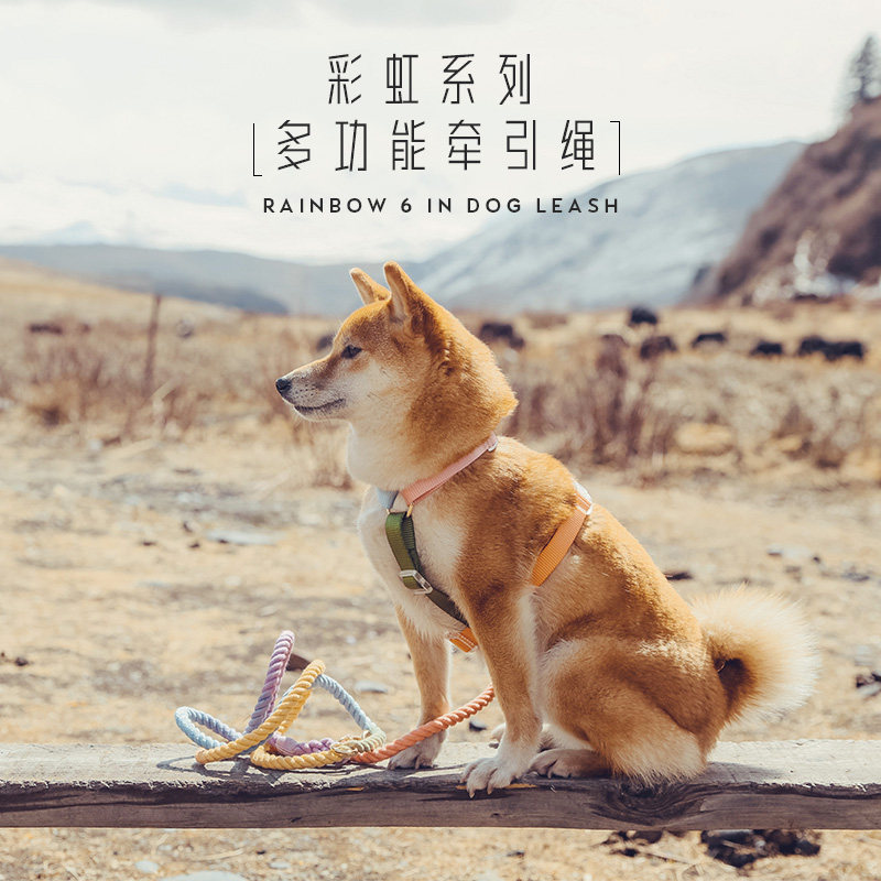 tinklylife彩虹渐变色牵引绳狗狗外出工字不脱套遛狗胸背带可系腰