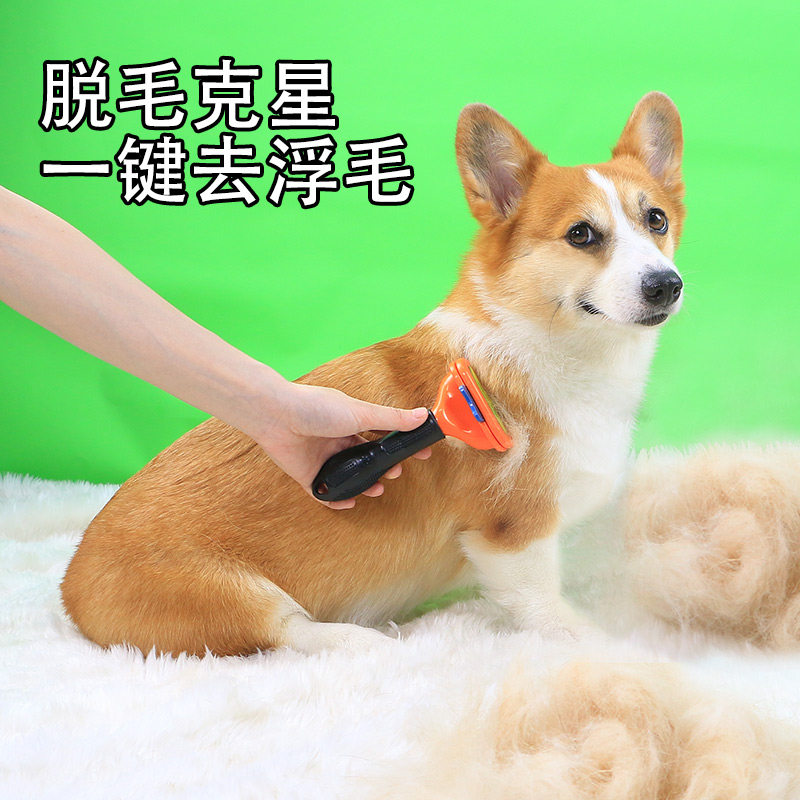 宠物柯基狗狗梳子梳毛刷毛去浮毛神器泰迪柴犬狗毛专用用品小型犬
