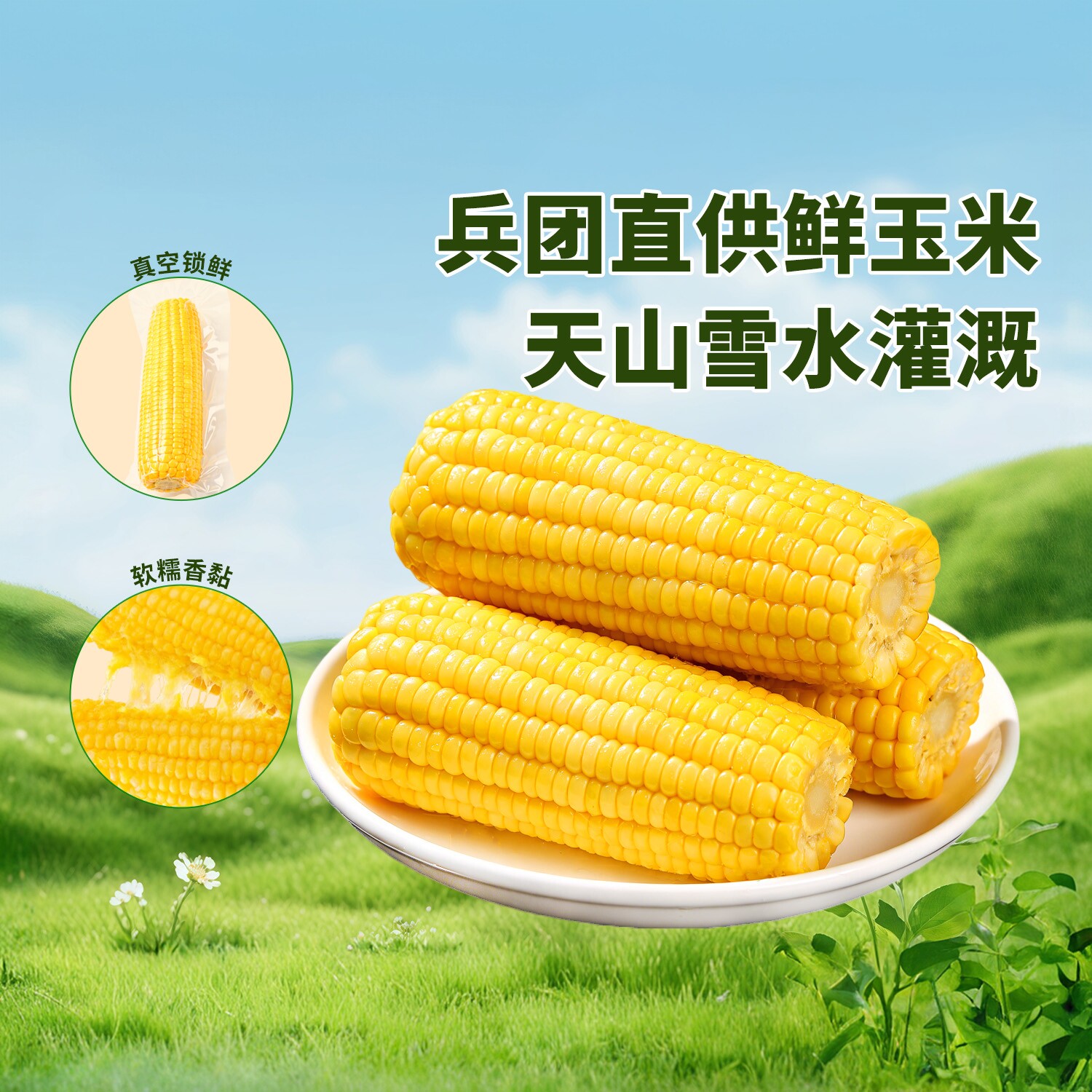 新疆黄糯玉米真空包装软糯香黏