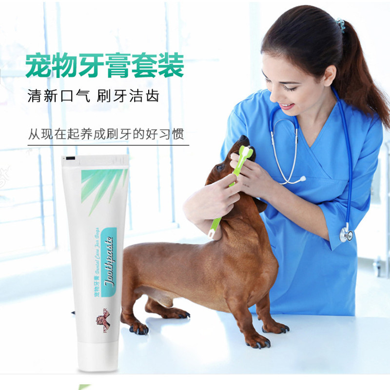 宠物狗狗牙刷牙膏套装泰迪猫咪金毛除口臭去狗牙结石宠物清洁用品