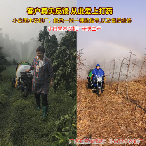 新式风送打药机高压农用果树果园自走式汽油柴油高射程喷药雾化机