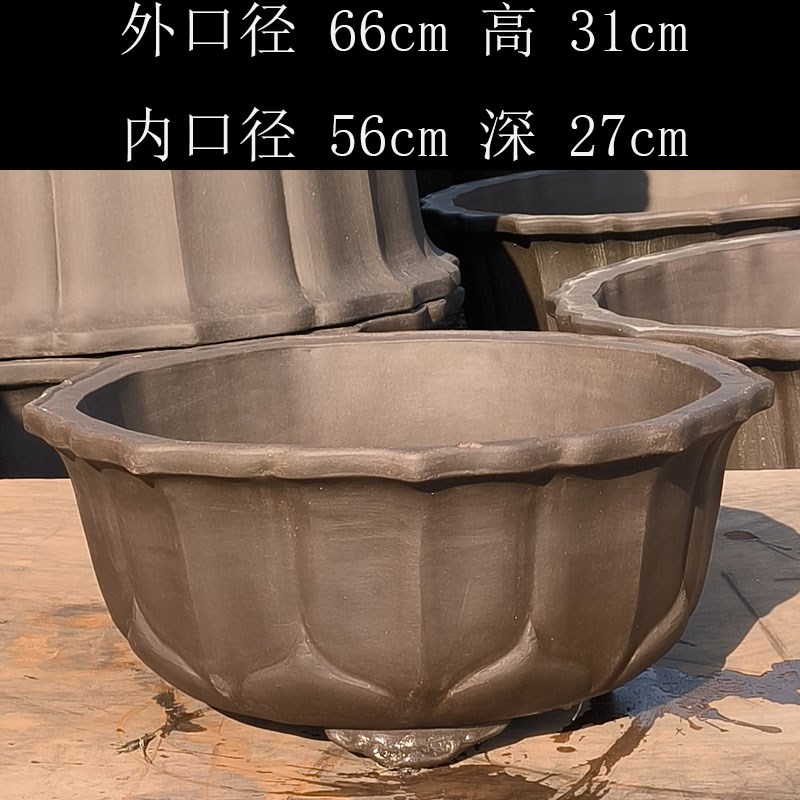 宜兴大口径透气圆盆紫砂盆1米莲花庭院别墅种树特大号盆景树桩