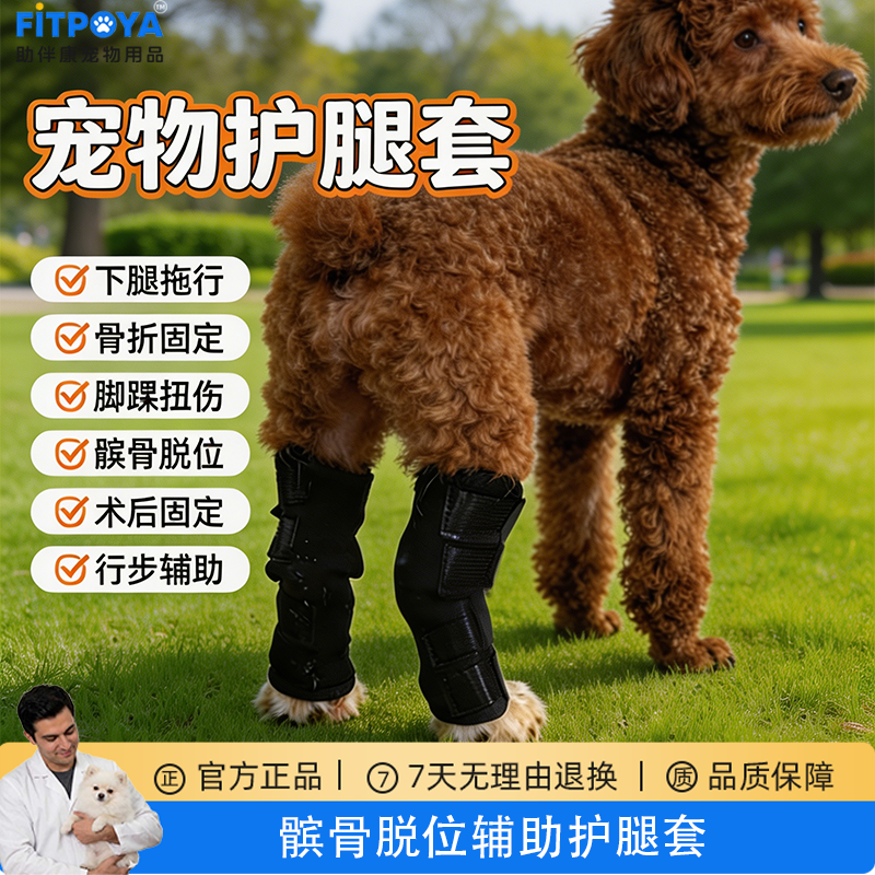 狗十字韧带护具柯基宠物狗狗骨折固定夹板护腿关节膝盖髌骨固定带