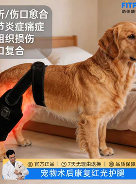 宠物髌骨脱位十字韧带康复红光