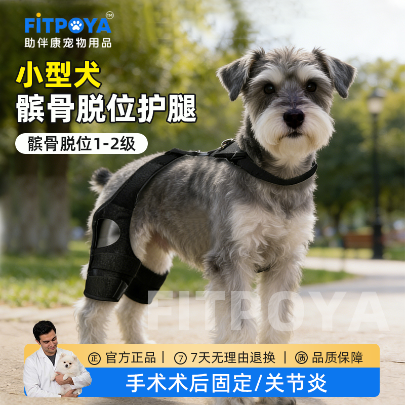 狗狗髌骨保护带小型犬后腿髌骨脱位固定宠物护腿比熊泰迪关节保护