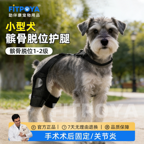 小型犬后腿髌骨固定护腿带