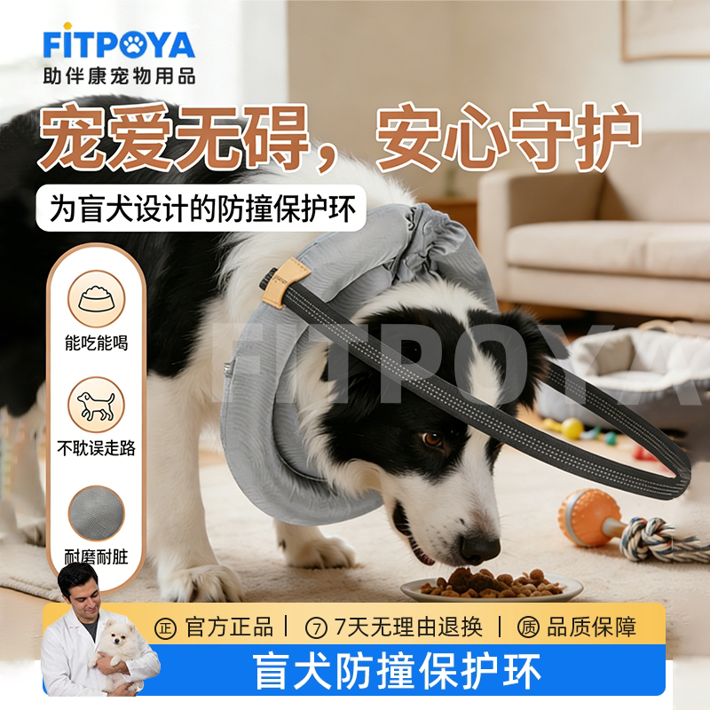 老年犬白内障可调防撞头圈护眼