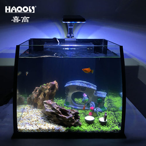 生态鱼缸客厅小型家用桌面免换水族箱迷你乌龟水陆缸金鱼草缸造景