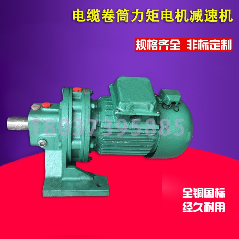 电缆卷筒专用力矩电动机 摆线针减速机 电缆线滚筒力矩电机变速箱