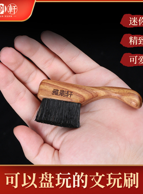 猪鬃毛软硬迷你文玩刷子核桃金刚橄榄核雕保养包浆上色套装雅刷轩