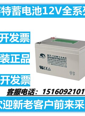 赛特BT蓄电池12V7AH5A12A14AH17A24AH38A4055A65AUPS海湾消防主机