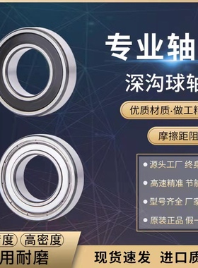 高速进口轴承6016 6017 6018 6019 6020 6022Z 2RS ZZ DDU/C3