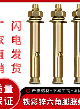 镀彩膨胀螺丝6mm外膨胀螺栓加长拉爆国标爆炸螺钉五金配件螺丝钉