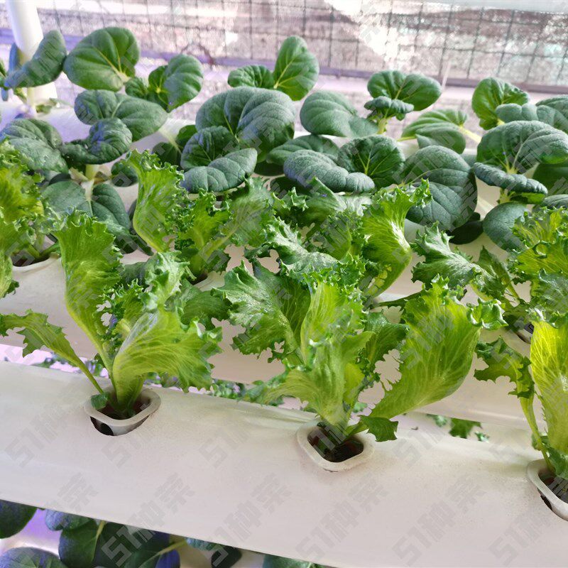 90管4管两层大管径多功能太阳能番茄草莓果蔬自动循环水培种植架