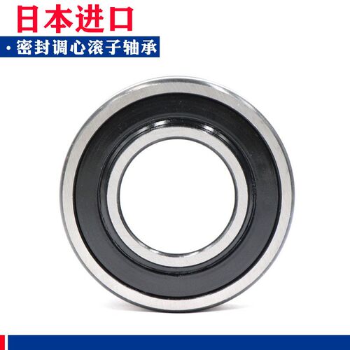 日本进口双面密封调心滚子轴承 BS2-2209 2210 2211 2212-2CS