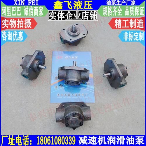 矿用输送带减速机泵磨煤机2RFD PUMP循环叶轮式泵a-1双向润滑油泵
