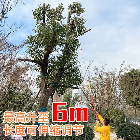 园林工具加长杆伸缩高枝锯手锯果树修剪修枝锯高空锯树枝修树锯子