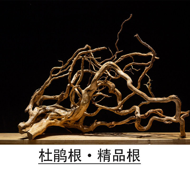 杜鹃根鱼缸造景素材草缸布景树根大号树枝天然树形雨林插花水族箱