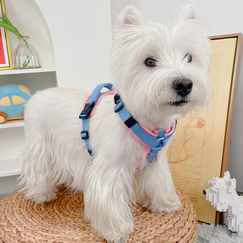 狗狗胸背带遛狗牵引绳大型犬宠物背心式柴犬背带式雪纳瑞马犬狗绳