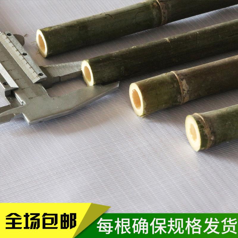 竹竿菜园搭架豆角黄瓜番茄爬藤架园艺篱笆围栏旗杆小竹子新品包邮