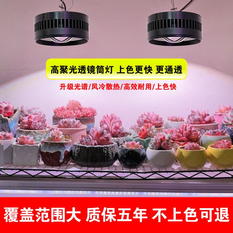 led全光谱多肉补光灯植物生长家用上色防徒绿植仿太阳光聚光筒灯