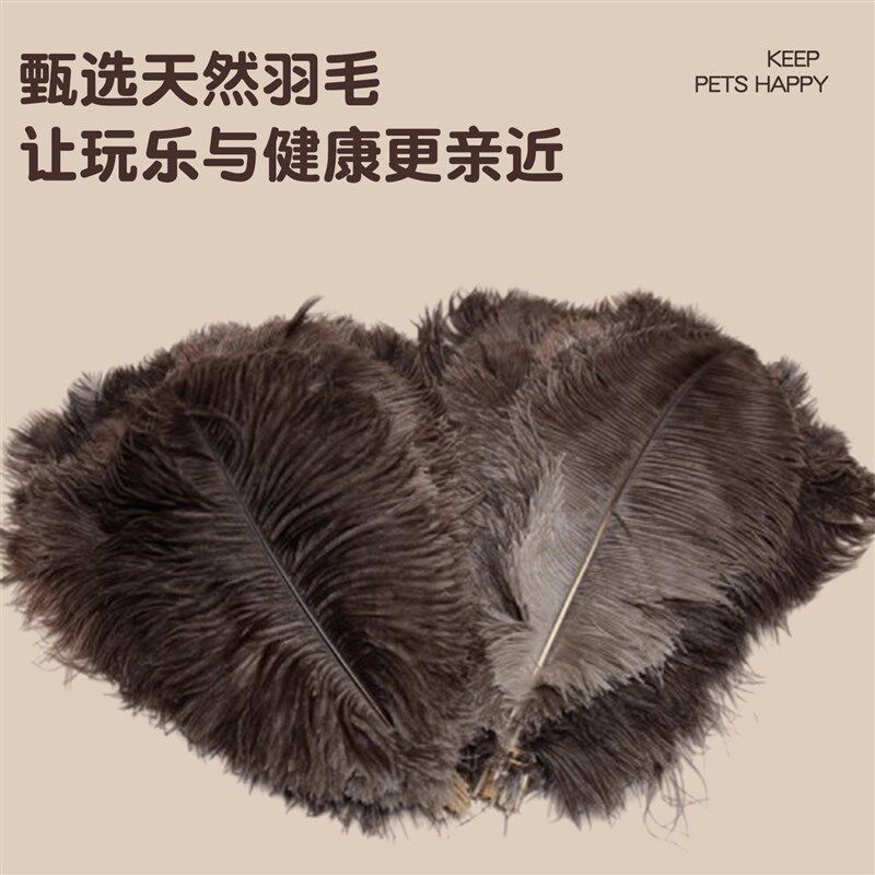 驼鸟毛逗猫棒猫咪玩具自嗨解闷气味丰荣天然羽毛厚不掉毛耐咬除尘
