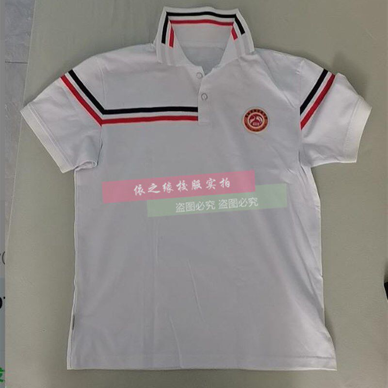 廊坊贺阳高级中学纯棉短袖夏纯棉polo衫t恤校班服印图字大码定制