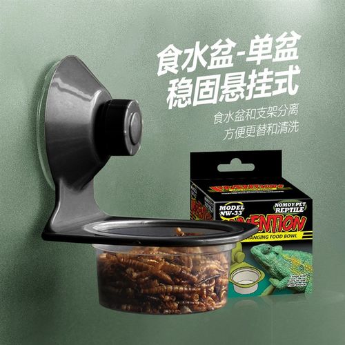 爬宠悬挂食水盆单双盆爬虫守宫树睫角盖勾亚蛙蜥蜴吸盘式食盆水碗