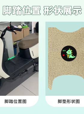 适用绿源ZOF专用电动车脚垫防水丝圈TDT24008Z脚踏垫TDT23009Z
